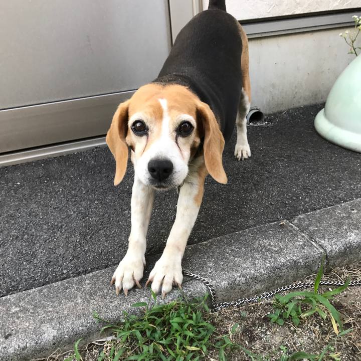 0c147ee6 3efc 40a5 829b ad052da78367