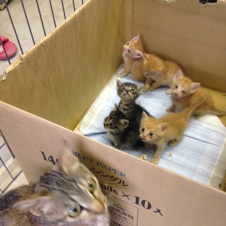 0c149b49 40e0 4c4c abfe a87b0aea6f3d