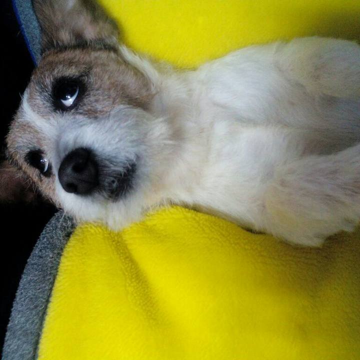 0c149dfe 96f6 49e8 bee5 e8de2e1b6918