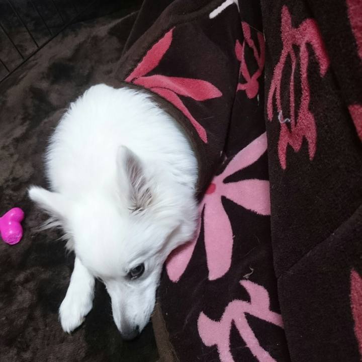 0c14df2a 3036 458e aa59 cb42f2fff3b7