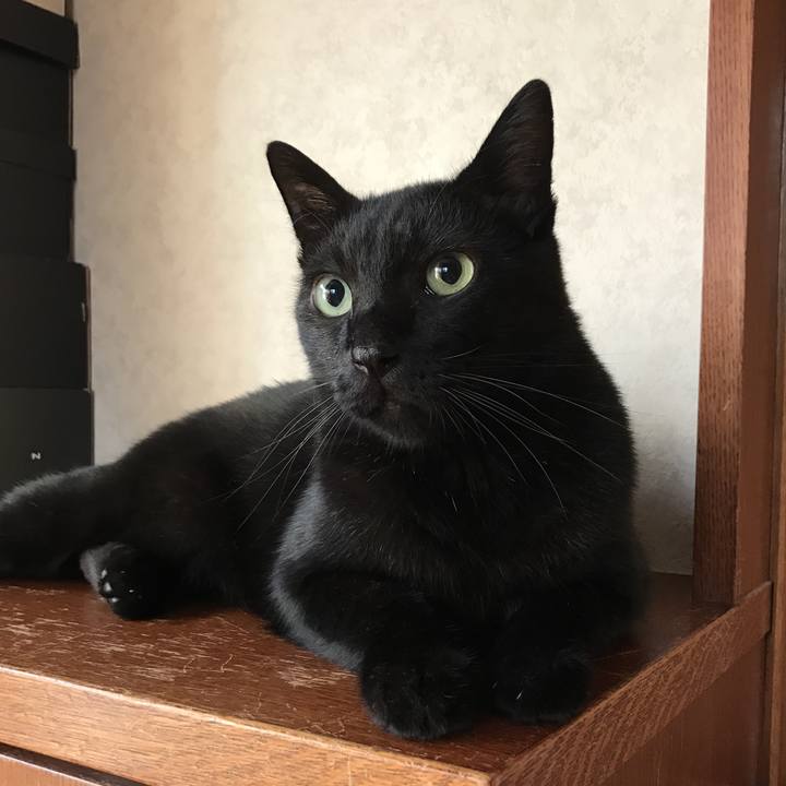 0c159e27 9331 4aed 8055 f618e5ffddd8