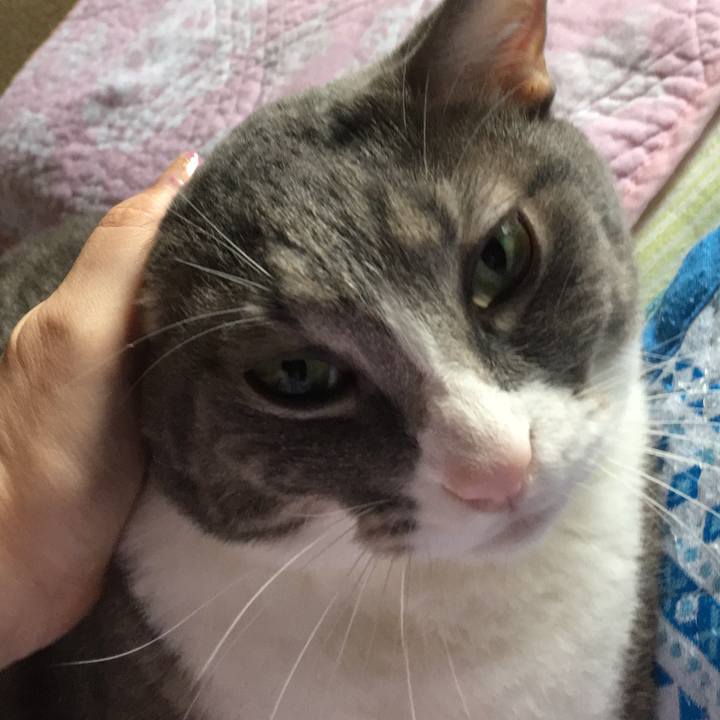 0c16df0e 2b65 4dd1 ba34 59fd21247047