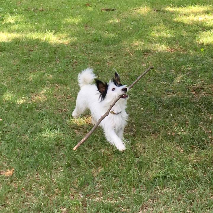 0c1708cb 7bff 4b85 8d27 488023ebd5ee