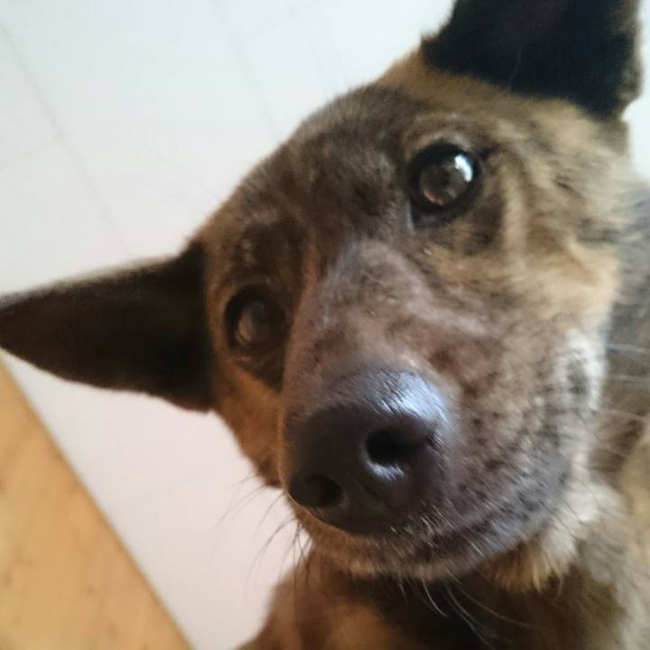 0c17375f 93f3 4631 8f28 7f16ee136b8c