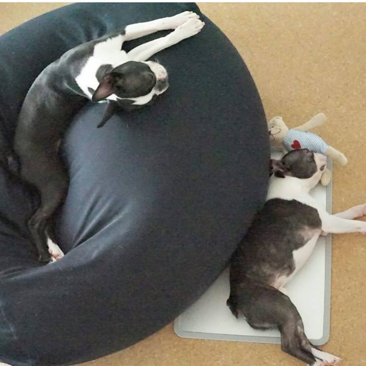 0c17b5ac a9f2 40c9 b0ef 4ce20bb53229