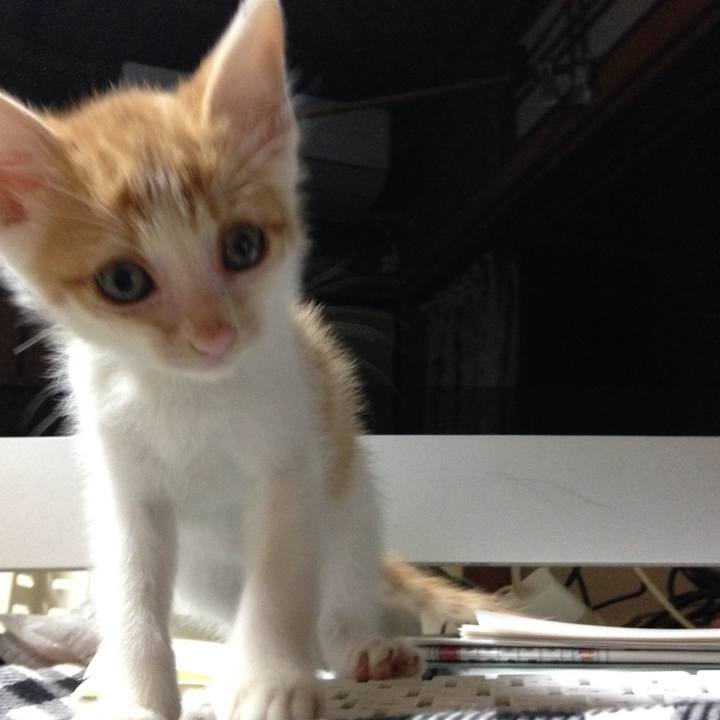 0c17dbad 3551 4f2b 82be f301ce916965