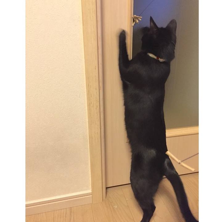 0c180384 2961 4529 8201 d44d706c9c16