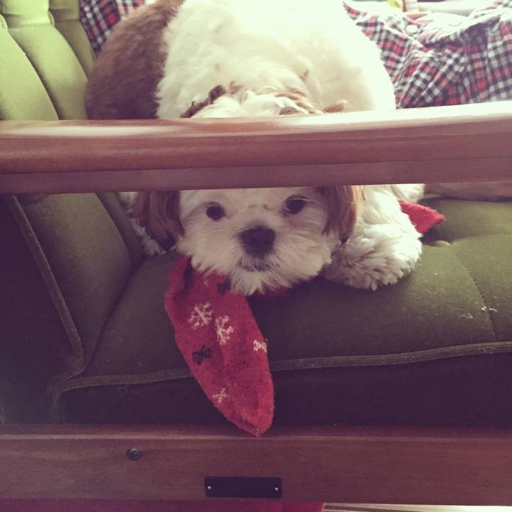 0c1806ef e6bb 4857 b70f e15590dfb944