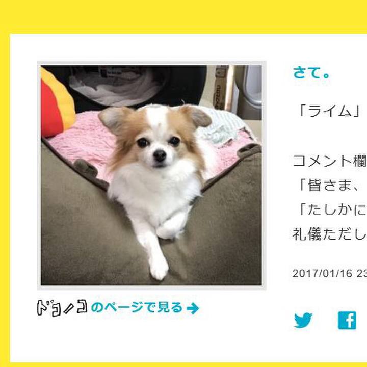 0c1841b4 4146 47e4 b7e3 abee85cc4236