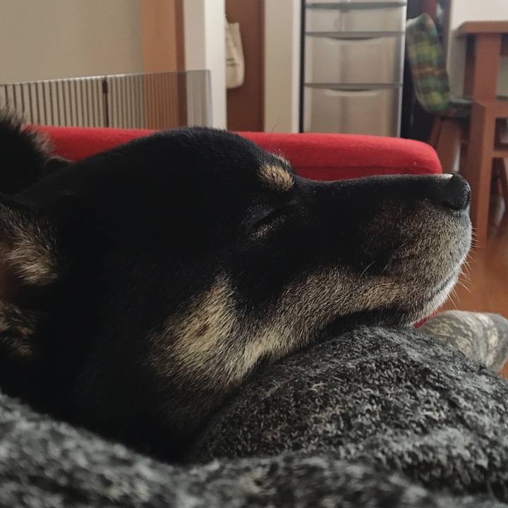 0c184d63 adae 4021 ba6d 3966e65baa00