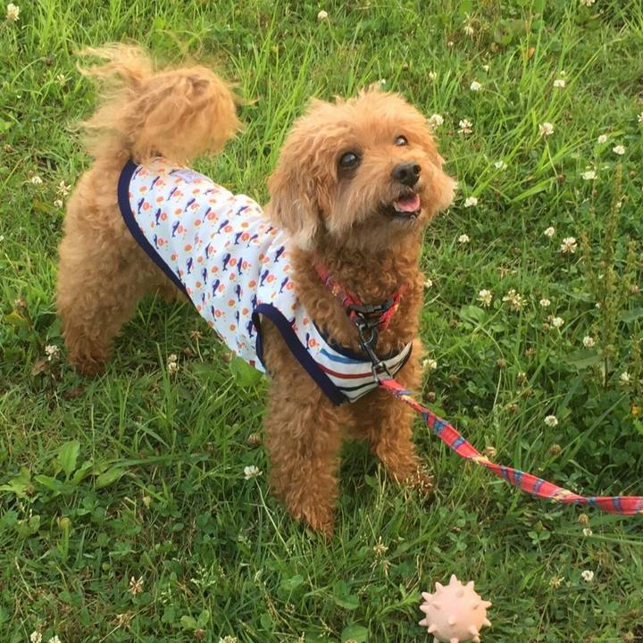 0c185572 3101 4ae5 bacd 75bed05354d7