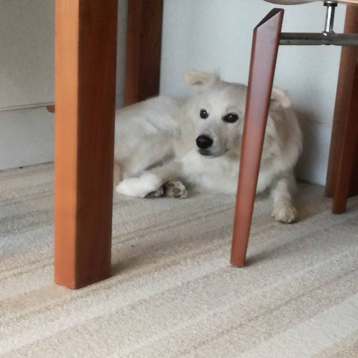 0c18574a 5627 45bd 89db 8362a82d964a