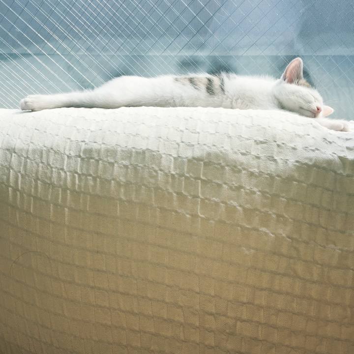 0c18e534 6d8b 4131 9ed3 8f12a606537a