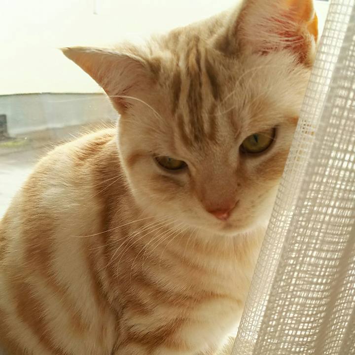 0c19a2dc a163 4e2e a6b2 15d73c7254ec