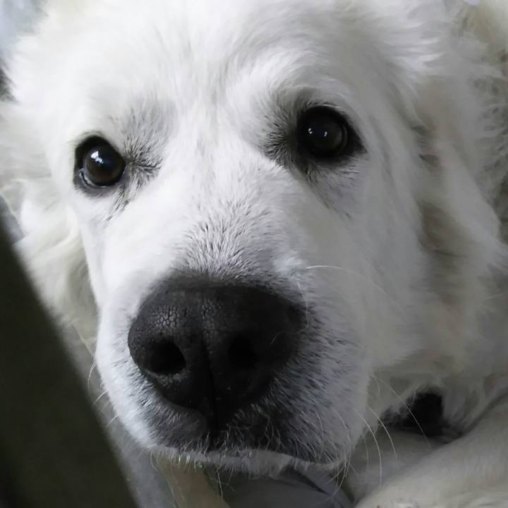 0c19fea2 4627 48cf bec1 aff5d3ef3db1