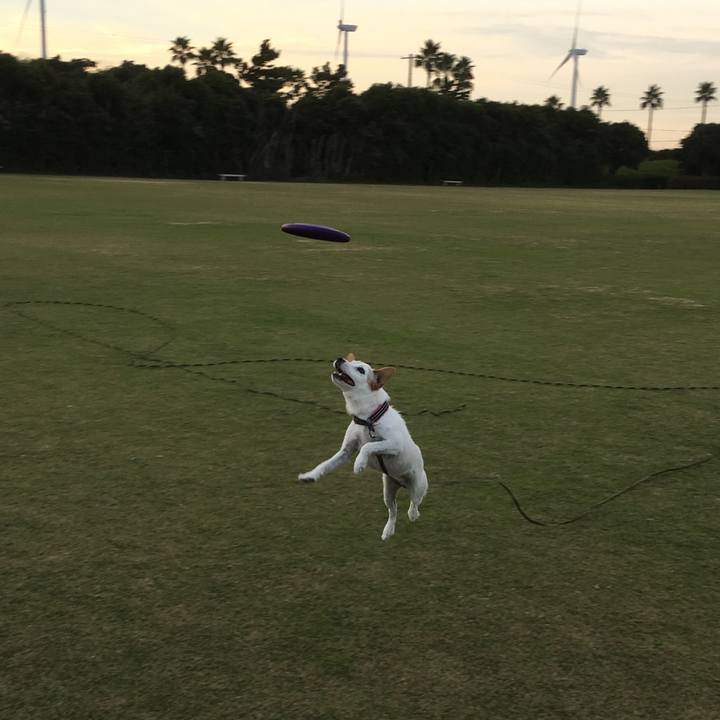 0c1a5255 2c03 46af a02a 77f8aae2d86c