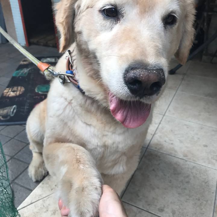 0c1a6928 bc0a 476b b2c3 0093c2a548d8