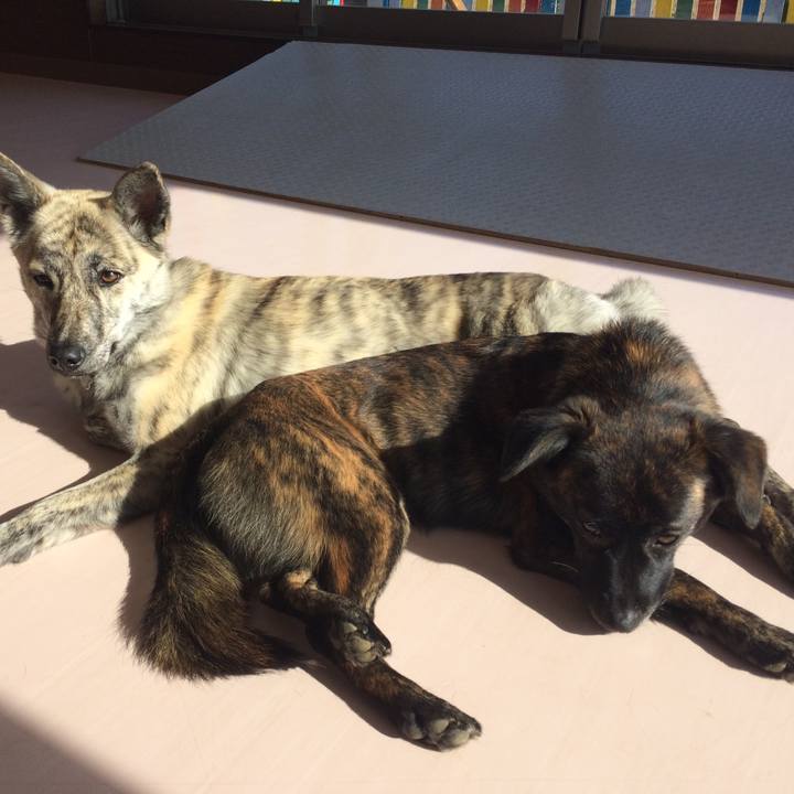 0c1b7b57 0450 4870 9147 3a235c61341c