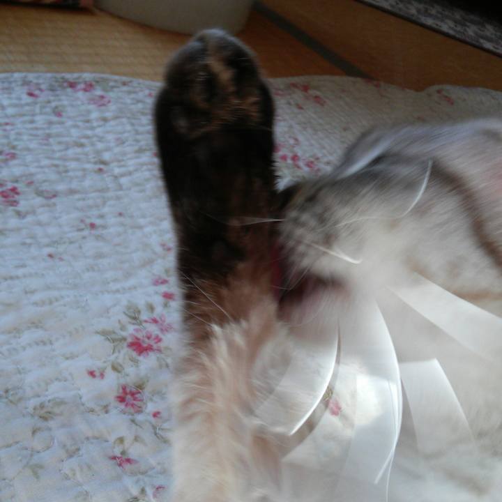 0c1c2a6f 1af1 4126 9742 a75fbb87b0c5