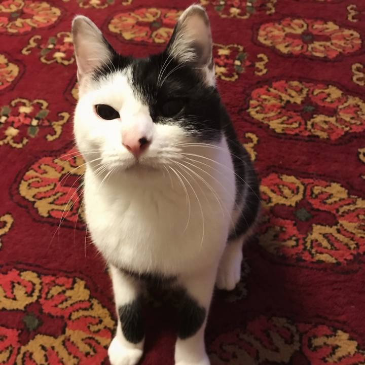 0c1c8e72 c1ef 4001 807d 596b33287679