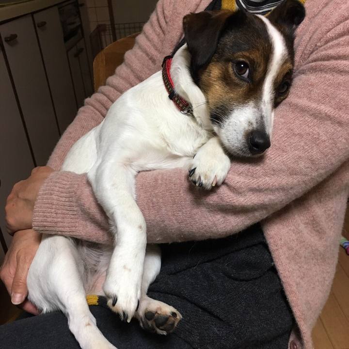 0c1c9a54 dbe4 4963 8e99 43c4528a0f37