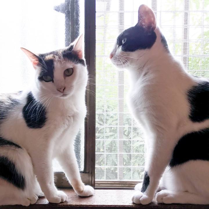 0c1ca112 37ba 42af 9f7c 6f706b293fdc