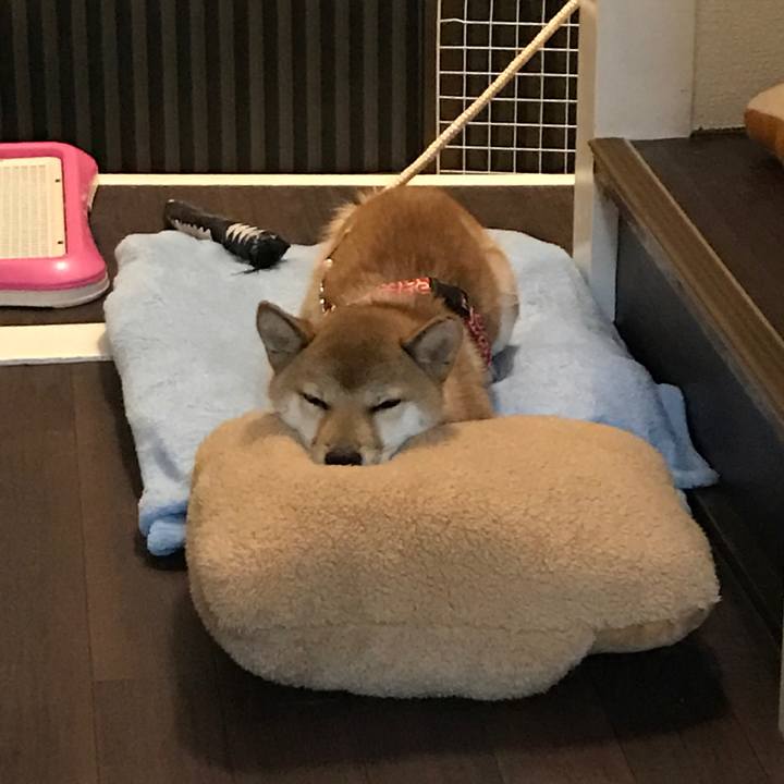 0c1d2870 691a 4cc0 b6df 9bd34c5b94e5