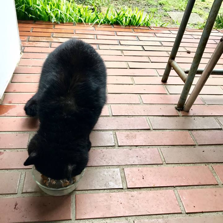 0c1ddafb 5b77 4aa9 9e2f 609a3e201a5b