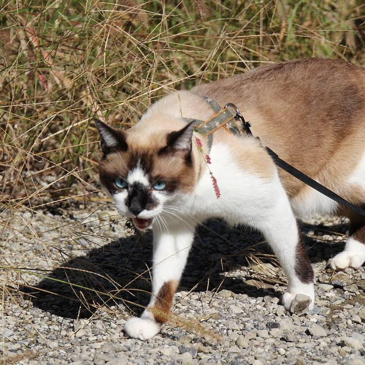 0c1decf8 341f 4980 991f 4822c3b61368