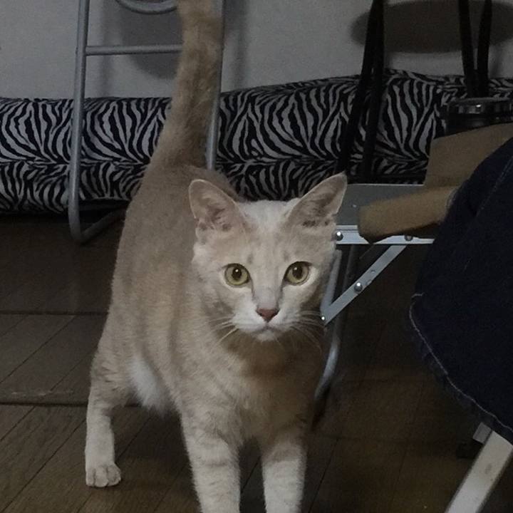 0c1df981 81b6 4e88 ab30 0f451a9fdb3a