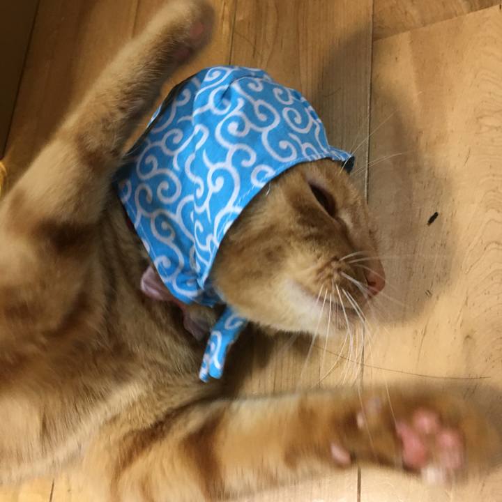 0c1e59e8 b56c 4e8f b124 a91743632863