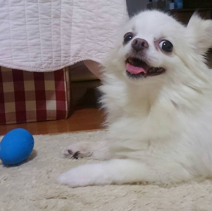 0c1e79fb 3014 4347 bfe7 e0e354a3768c