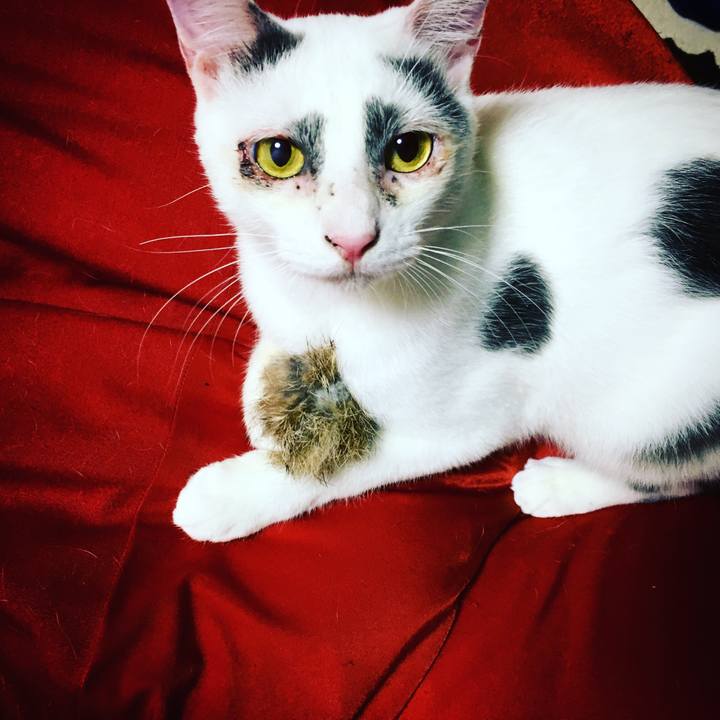 0c1f4e2a 0d85 42c3 b31b 53af32571deb