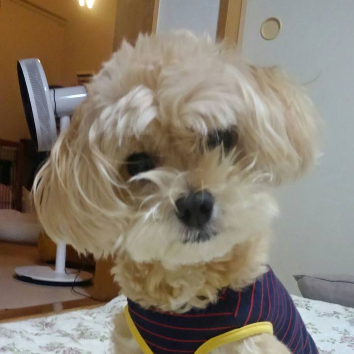 0c20a238 2ba0 40ba 8e03 718bb69d906d