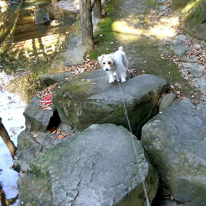 0c20bda2 91ac 4aa0 a4af 517484c10c3a