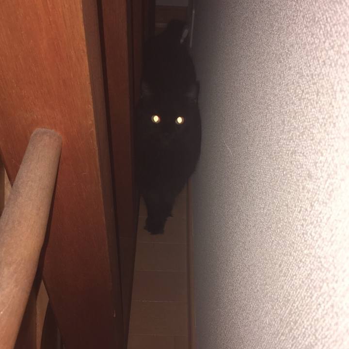 0c210df7 8c01 47bb a3bf e3e135675940