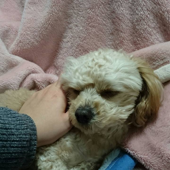 0c2179a9 459e 401d 9cab 78c1d9f0f435