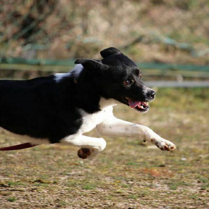 0c2243d1 8d23 4a2f ba6f 2b97857018af