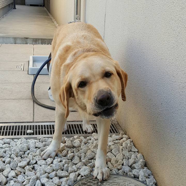 0c22ab2b b97e 4288 ad2e 683534e40ca7