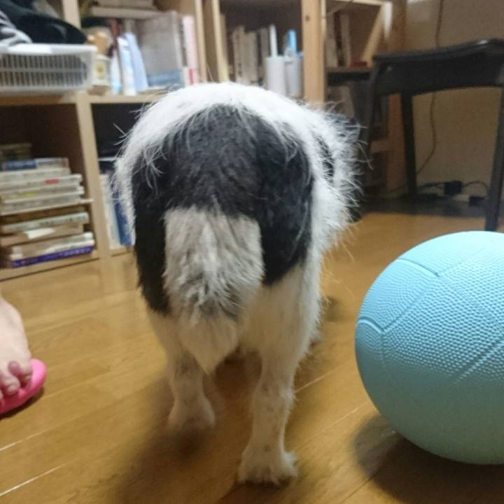 0c22ac88 e027 406c 9e4c 03931c76956f