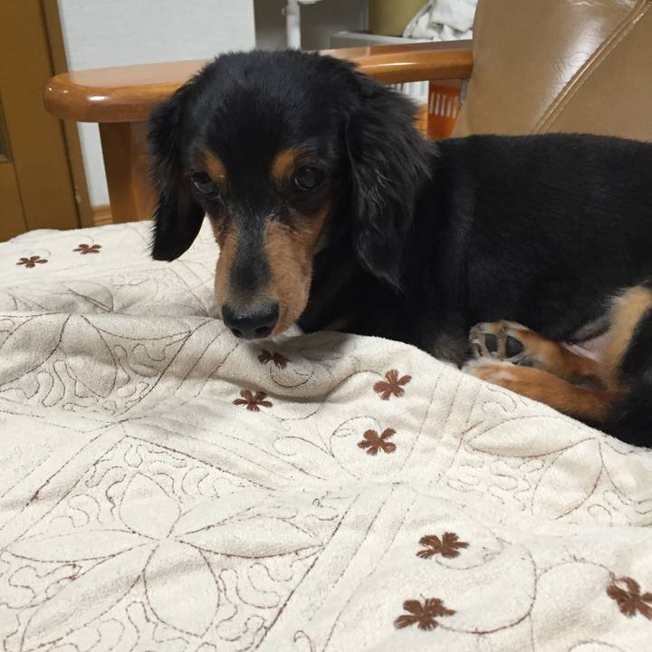 0c22d769 b560 4124 8e6a 37b73e785e4e