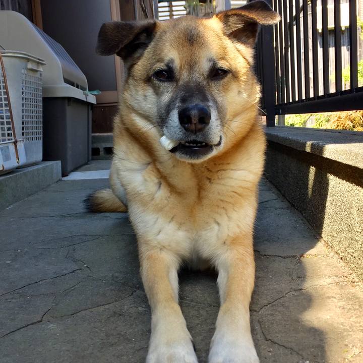 0c231931 3ca1 4760 a8f4 5f8665bea708