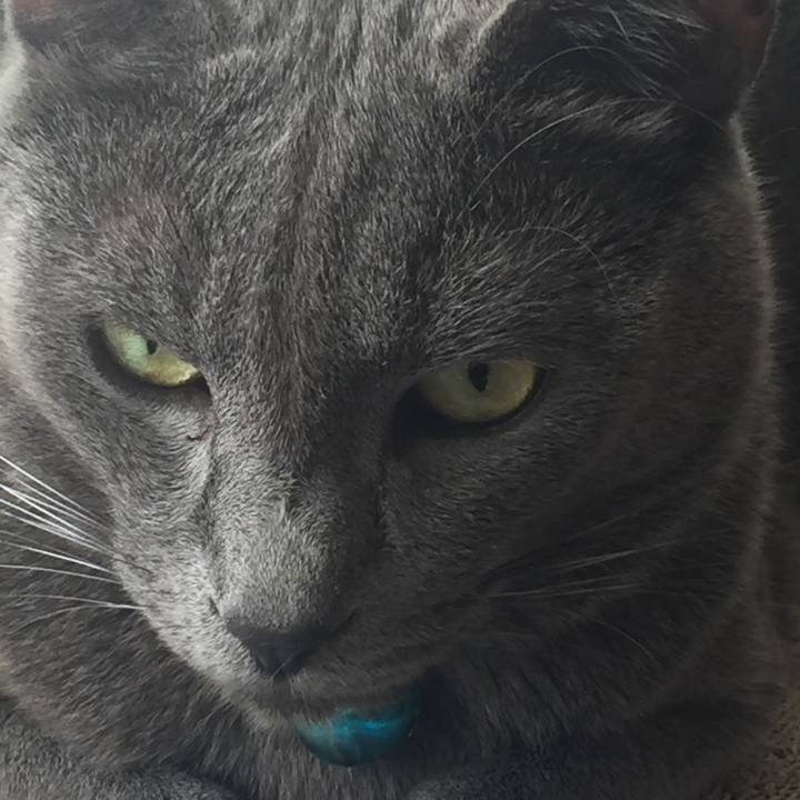 0c233ad3 bfc9 48e0 9596 4af4cd88a21f