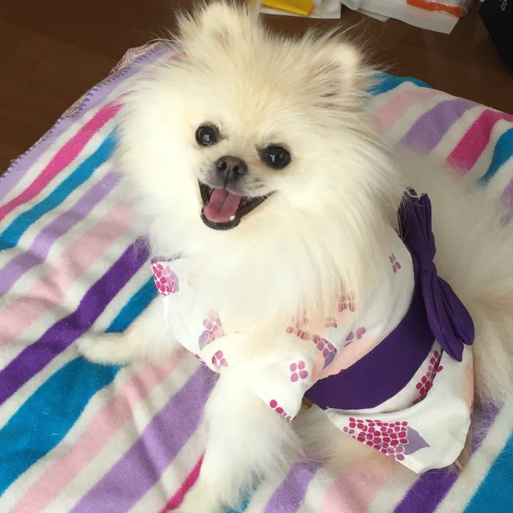 0c24891d 08f8 401e a41f 593ceacb12cd