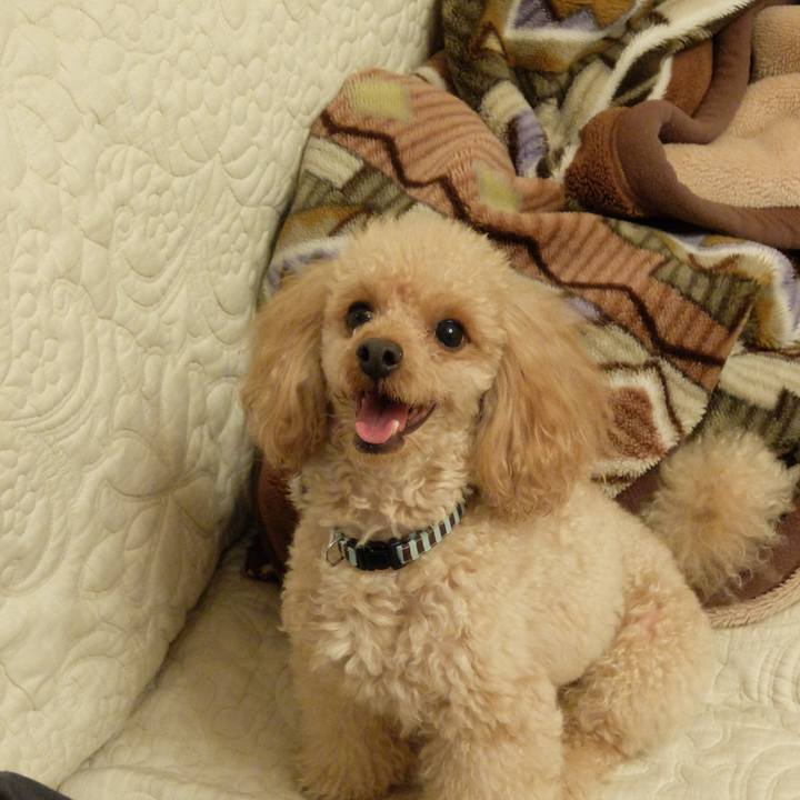 0c249b88 e8af 4846 89da d94e60a4e54c