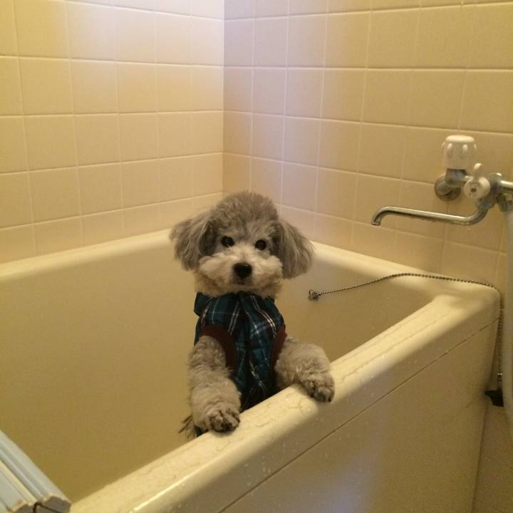 0c250e8d 756e 471e 9223 1dc895f8f7e4