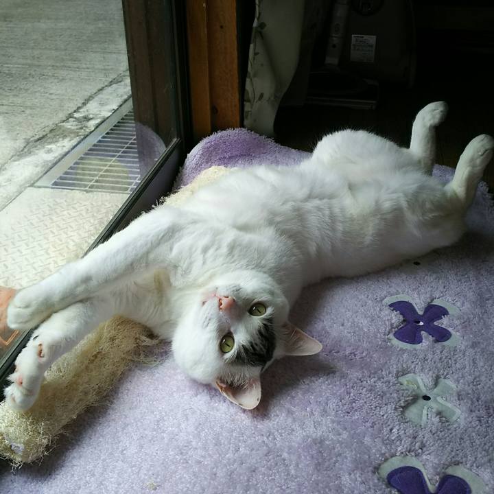 0c258f3a c552 4d65 95f3 4f29dabaddf0