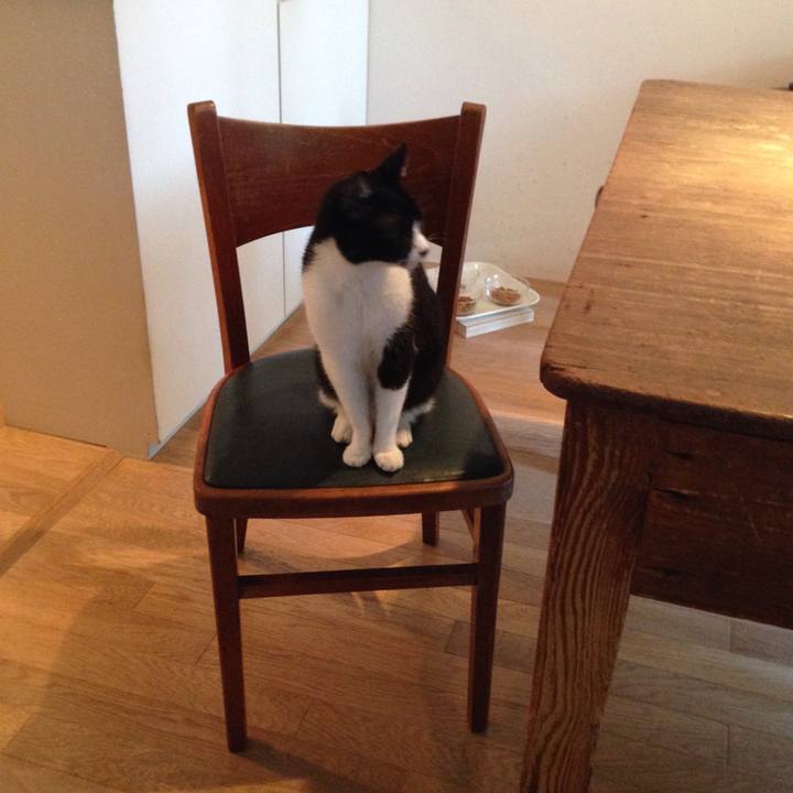 0c25b8f4 1212 4b82 8b06 f77c6955d1a8