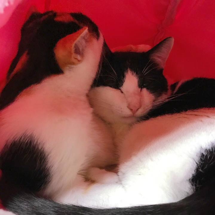 0c25ec3a c6b6 4f1a 9ef5 1172f4ad3ba4