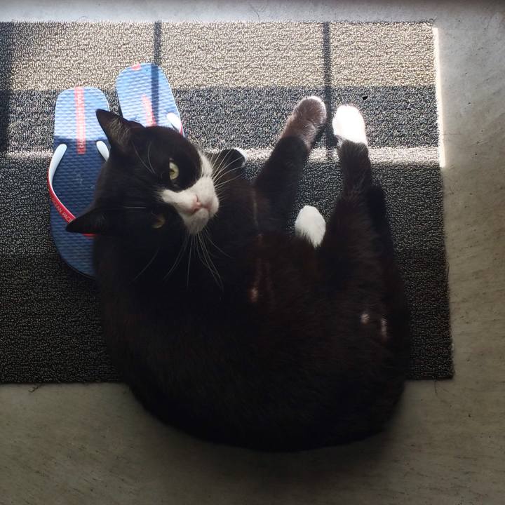 0c260843 3ddf 4e73 8a61 f8d329d7fbe7